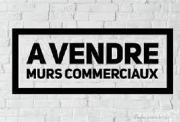Vente Immobilier Professionnel Murs commerciaux Annecy 74000